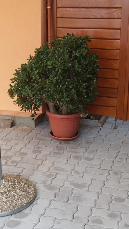 Sveti Anton  Apartment Jadranka المظهر الخارجي الصورة